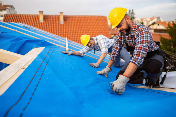 Best Roof Insulation Installation  in Boise City, OK